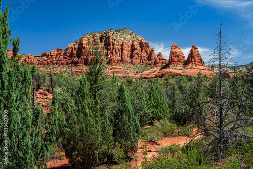 Beautiful red rocks and green forests of Sedona Arizona