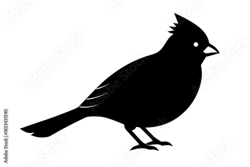 silhouette of a crow 