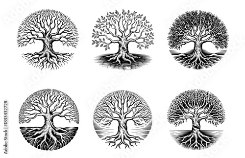Tree of Life root set in vintage engraving style vector illustration for nature mythology or ecological design