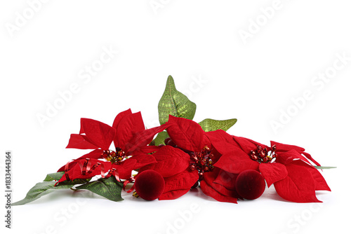 Red poinsettia christmas de...