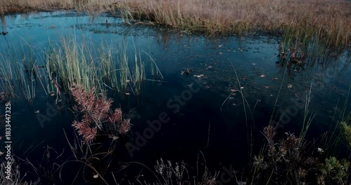 Nordic Marsh Water and Sky