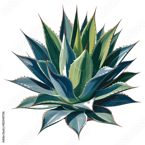Vibrant agave plant illustration showcasing striking blue green foliage and sharp edges against a clean white background