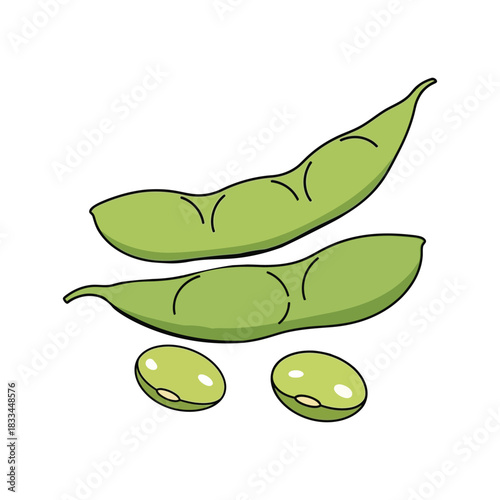 edamame vegetable vector illustration