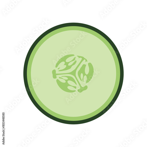 cucumber vegetable slice vector illustration