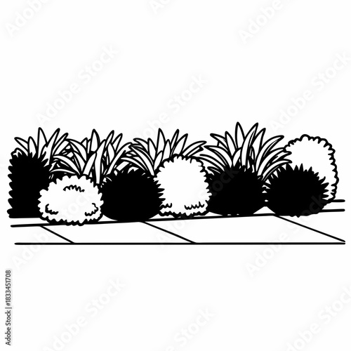 “Outline shrubs and bushes forming a garden border.”