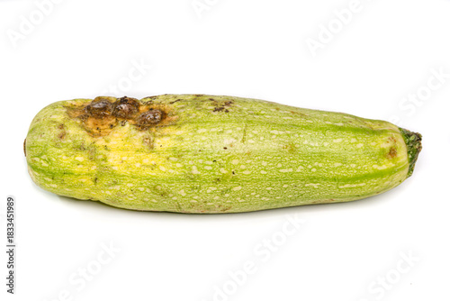 Rotten Squash With Mold: Spoiled Produce, Decay, Edible Waste, and Kitchen Hygiene