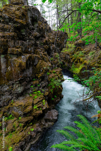 Oregon State Parks trails landscape river rocky whitewater hiking scenic