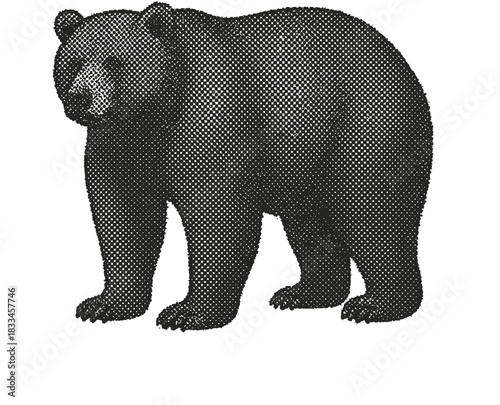 Halftone Bear Illustration in Black and White