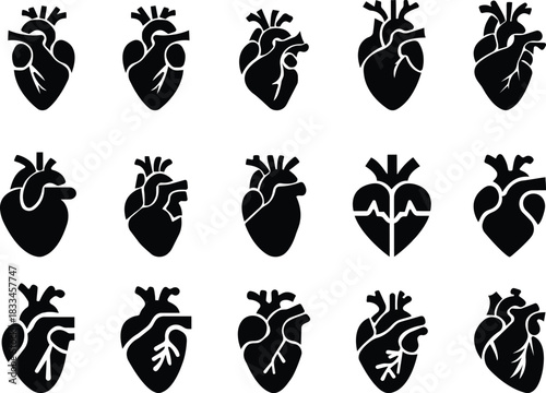  Red Human Heart Icon Set Anatomical Heart Vector Silhouette Set – Black and Red Human Heart Icons with Veins for Cardiology, Healthcare, Biology, Use