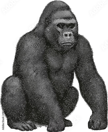 Halftone Gorilla Illustration in Black and White