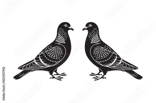 Two black pigeons facing each other in silhouette
