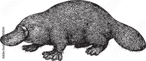 Halftone Platypus Illustration in Black and White