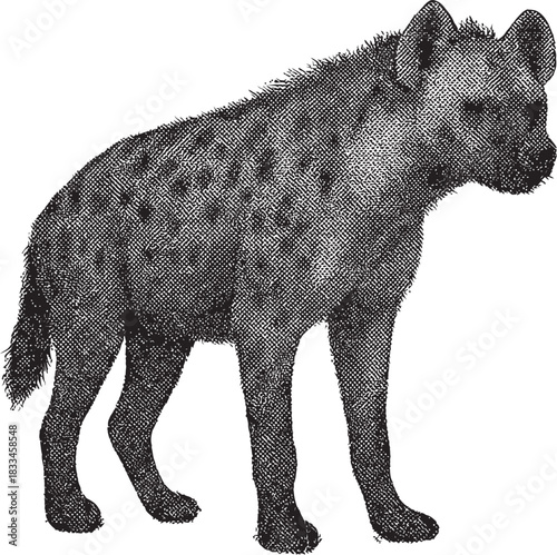 Halftone Hyena Illustration in Black and White