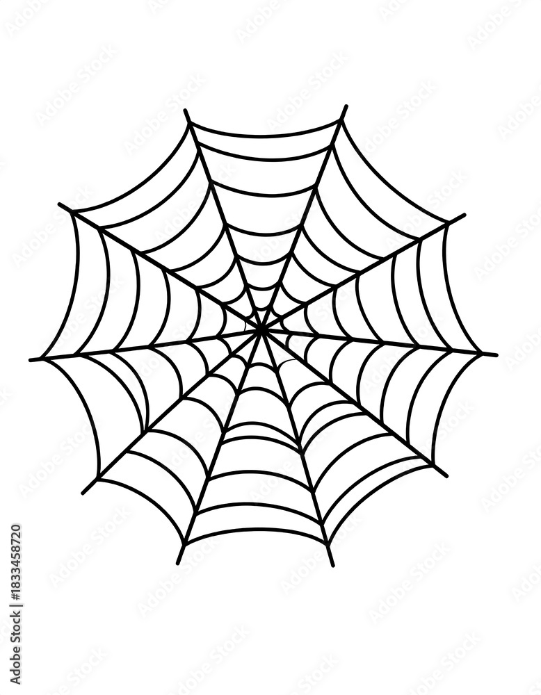 Fototapeta premium Simple black and white spider web, symmetrical design on white