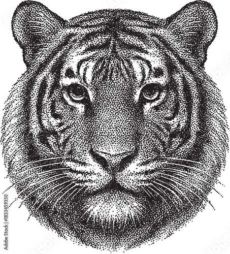 Halftone Tiger Head Illustration in Black and White