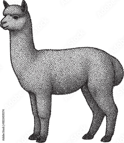 Halftone Alpaca Illustration in Black and White