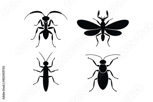 Four silhouettes of different insects on a white background