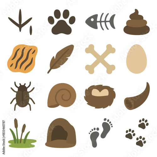 Nature's Collection: A detailed illustration showcasing a diverse array of natural elements, including bird footprints, animal paw prints, a fish skeleton, and a variety of other objects.
