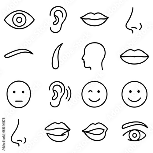 Human Sensory Exploration: A comprehensive illustration of various human facial features, perfect for educational and illustrative purposes.