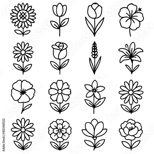 Floral Delights: A charming collection of various line art drawings showcasing the exquisite beauty and delicate forms of several singular flowers, each a unique testament to nature's artistry.