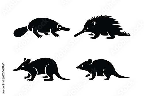 Four silhouettes of australian monotremes and marsupials