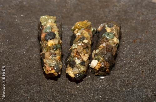 The caddisflies (order Trichoptera). Pupae. Larva with portable case of rock fragments.