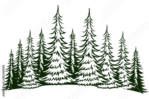 Black and white woodcut style illustration of a dense cluster of evergreen pine fir trees standing tall on a snowy or grassy mound, isolated on