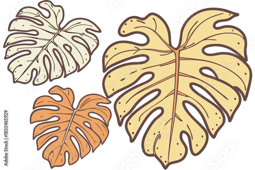 Collection of three stylized monstera deliciosa leaves in different shades of beige, cream, and light orange, featuring characteristic fenestrations and dark outlines, isolated on