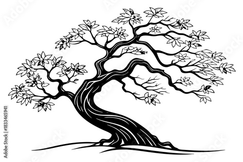 Black and white stylized illustration of an ancient, gnarled bonsai tree with sprawling branches and detailed leaves, isolated on