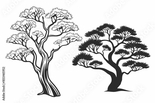Two stylized illustrations of mature pine trees, one as a detailed black and white line drawing and the other as a solid black silhouette, isolated on