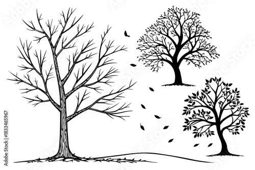 Black and white illustration depicting three deciduous trees in various stages of leaf loss, symbolizing autumn or winter, isolated on