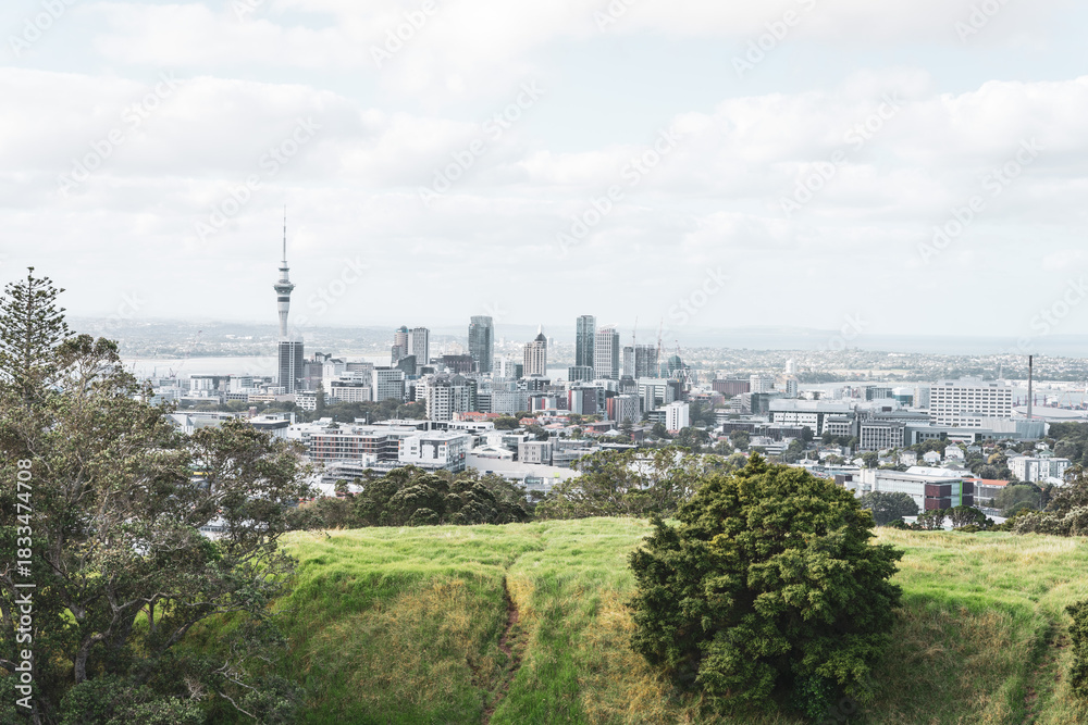 Fototapeta premium aerial view of Auckland