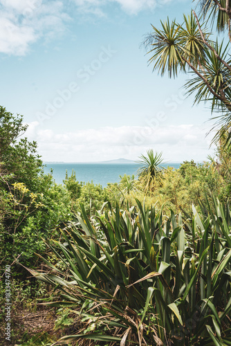 Wallpaper Mural view from jungle to ocean Torontodigital.ca