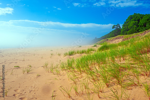 Fog on Grassy Dunes on a Lake Shore