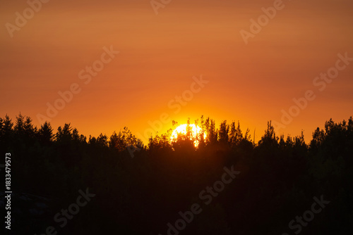 Sun Dipping Below the Trees in an Orange Sky