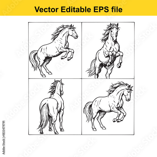  collection of four black and white vector illustrations depicting horses in various dynamic poses, including rearing and trotting, presented as an editable eps file