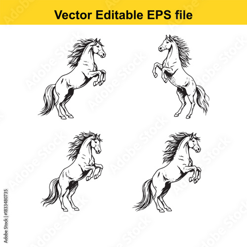  collection of four detailed black and white vector illustrations of rearing horses, showcasing dynamic poses and strong musculature, perfect for equestrian design elements