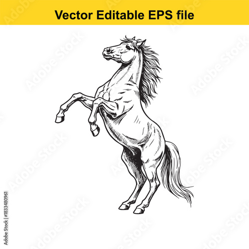  detailed black and white vector illustration of a majestic horse rearing up on its hind legs, showcasing powerful musculature and flowing mane and tail, perfect for equestrian themes