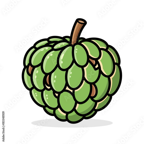 vector illustration of a sugar apple