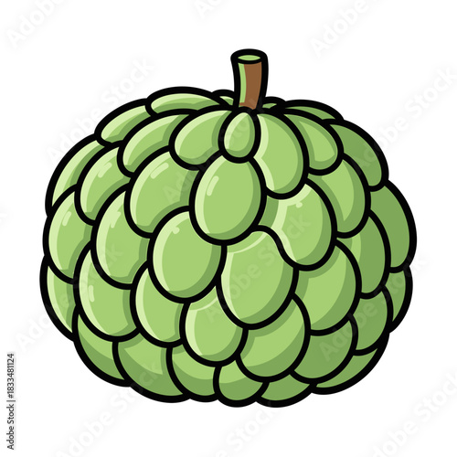 vector illustration of a sugar apple