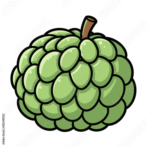 vector illustration of a sugar apple