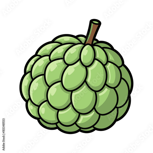 vector illustration of a sugar apple