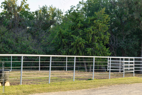 White Pipe fence horse pasture