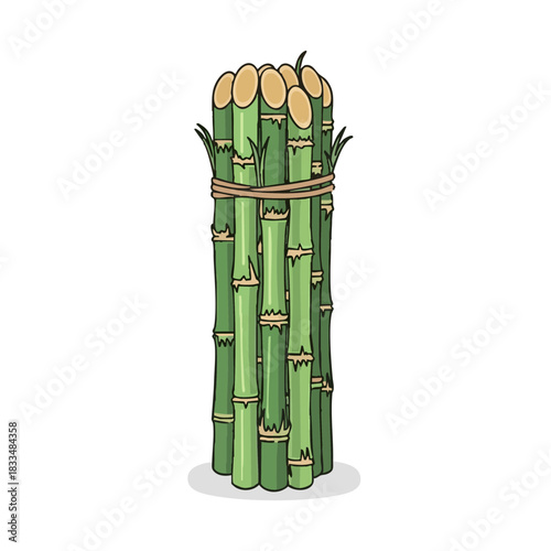 Bundle of sugarcane sticks tied together for Pongal celebration  