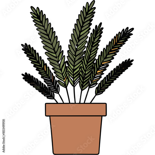 Green Fiddle Leaf Fig Plant in a Terracotta Pot with Long Leafy Stems Detailed illustration Botanical Home Decor Isolated on Black Background