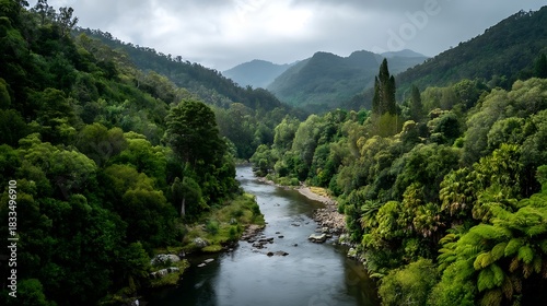 Lush Green Mountain Valley River Scene with Dense Forests and Overcast Sky