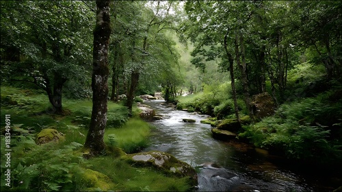 Serene Green Forest with Flowing Stream Surrounded by Trees and Rocks