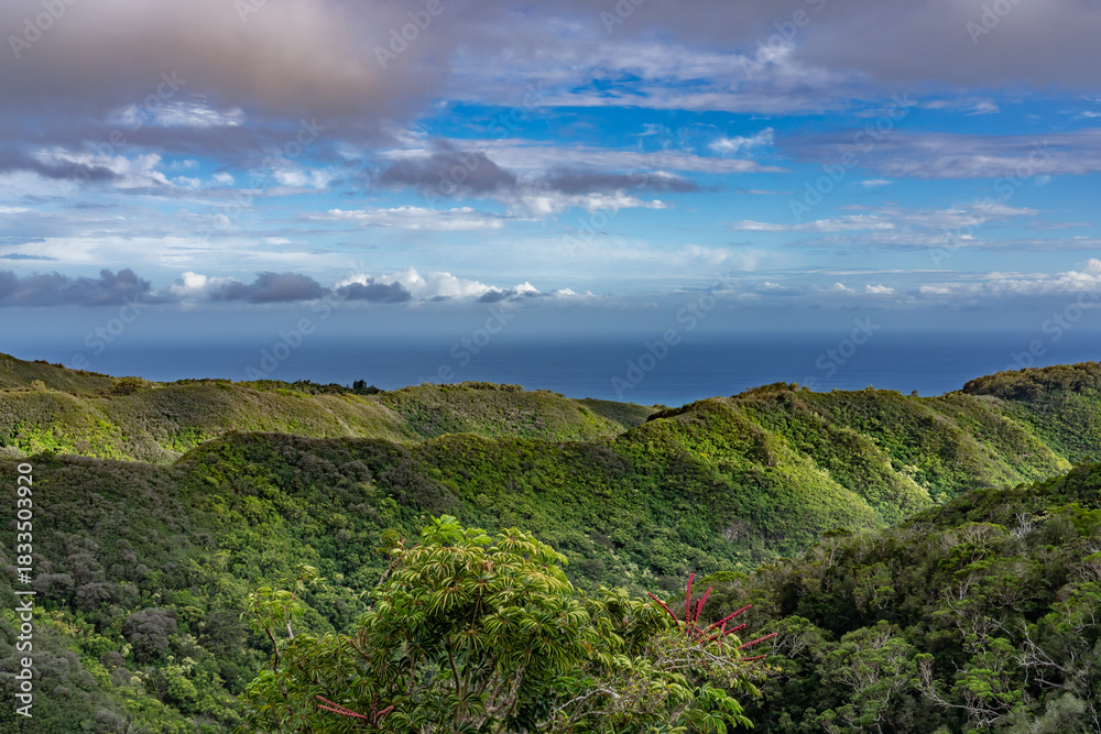 Obraz premium The Pacific Ocean is in the distance. Mauʻumae Ridge Trail (Puʻu Lanipō), Oahu, Hawaii. Koʻolau Range, shield volcano. On the right is Waʻahila Ridge 