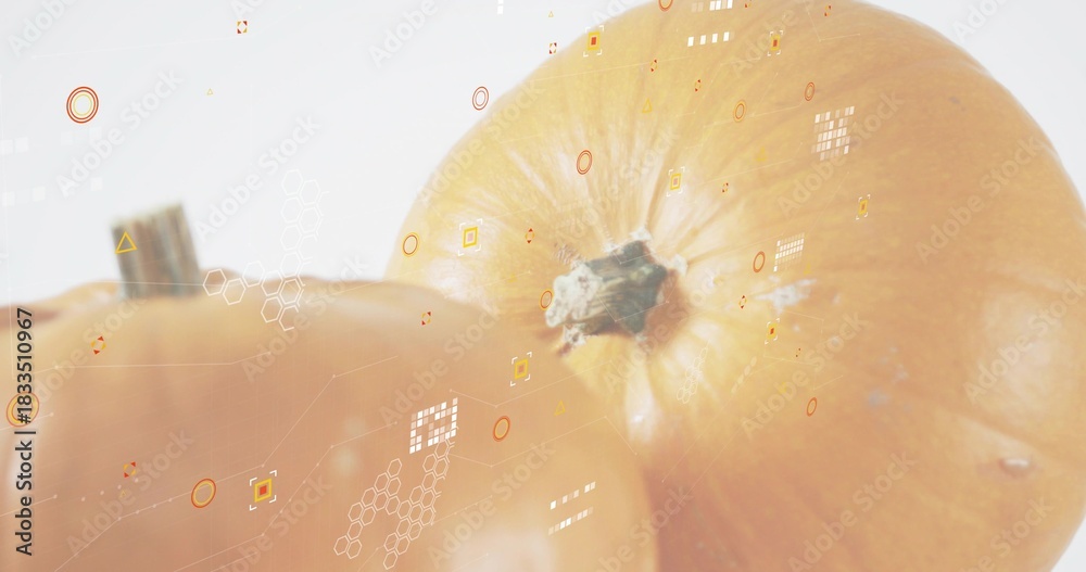 Fototapeta premium Displaying large orange pumpkin with stem in studio, showing second pumpkin and hexagon overlays