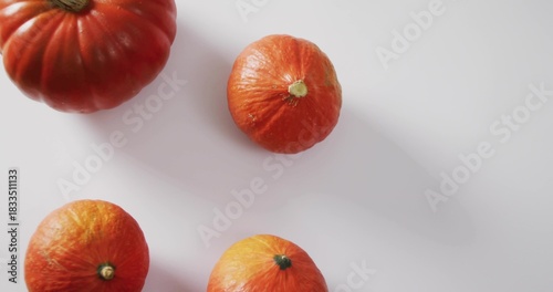 Sitting cluster of four small orange pumpkins casting soft shadows on white table, with green stems